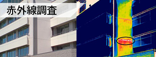 赤外線調査